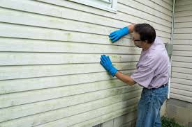 Best Historical Building Siding Restoration  in Apopka, FL